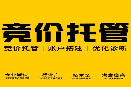 成功SEM推广竞价案例分享